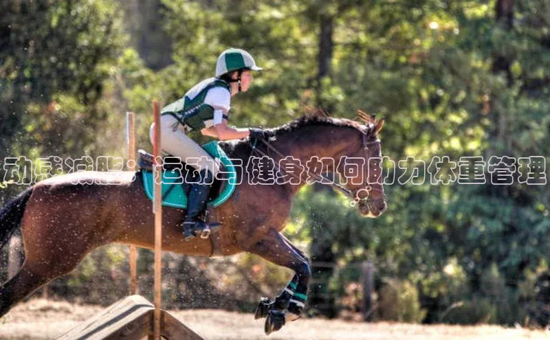 人生搏中国官网入口