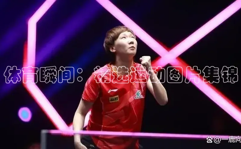 人生就是博·(中国区)官方网站z6