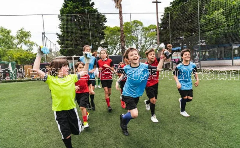 尊龙凯时人生就是搏